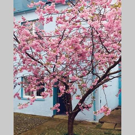 Albion Cottage Cockermouth Luaran gambar
