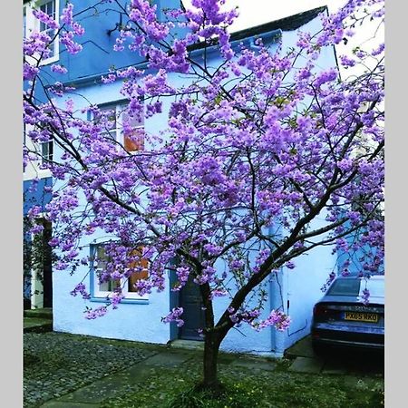 Albion Cottage Cockermouth Luaran gambar