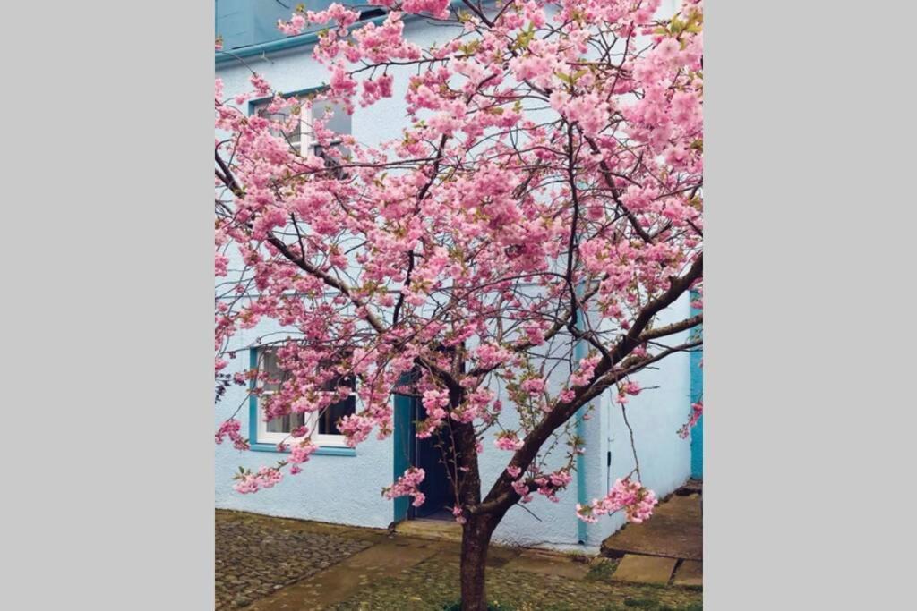 Albion Cottage Cockermouth Luaran gambar
