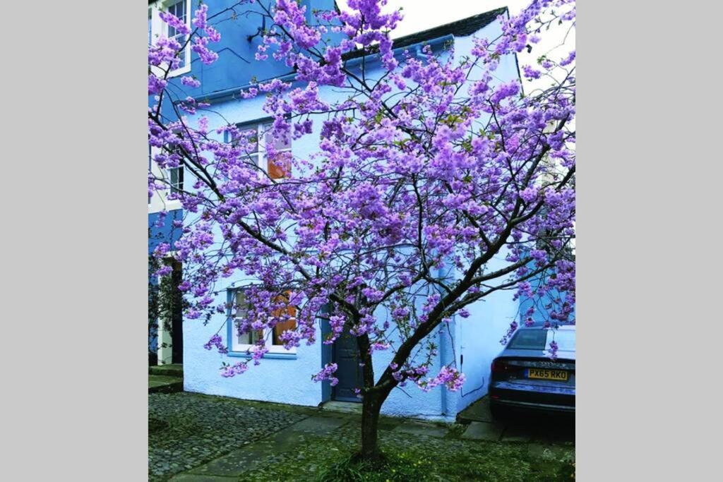 Albion Cottage Cockermouth Luaran gambar